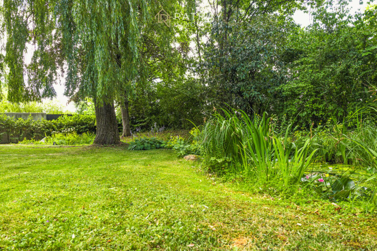 Teich im Garten